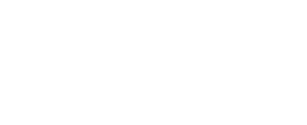 V.P